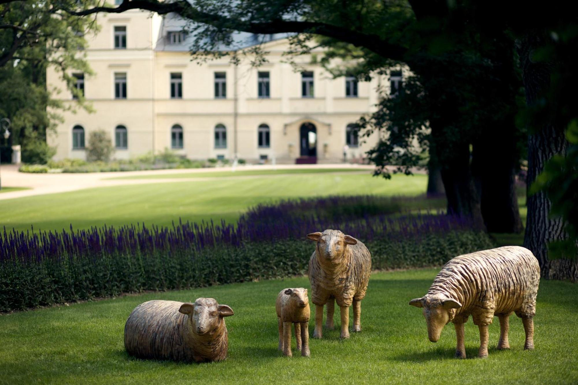 Chateau Mcely Exterior photo