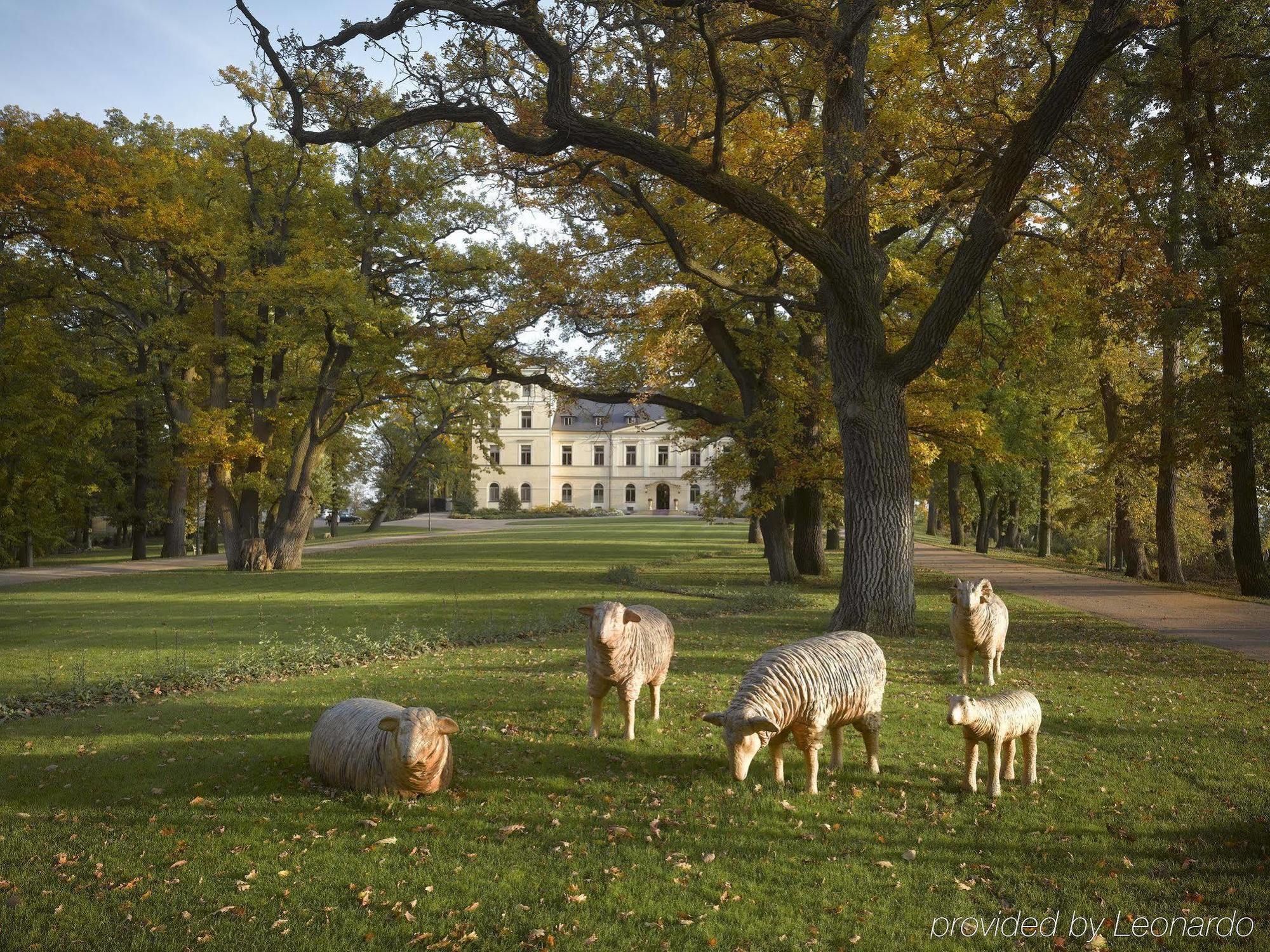 Chateau Mcely Exterior photo