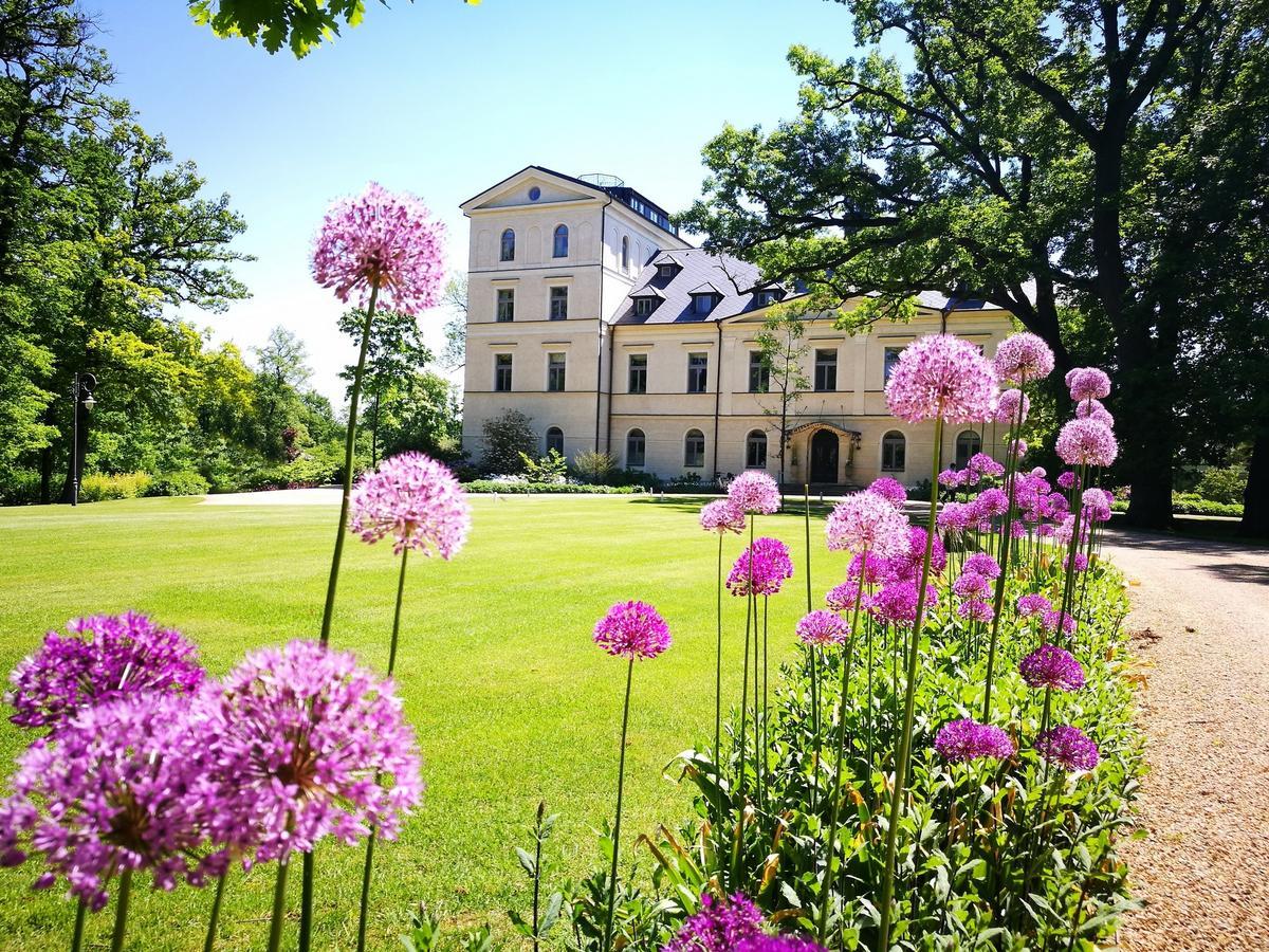 Chateau Mcely Exterior photo